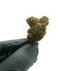 Dichte Buds mit klebrigen Trichomen – THC-R Amnesia Qualität