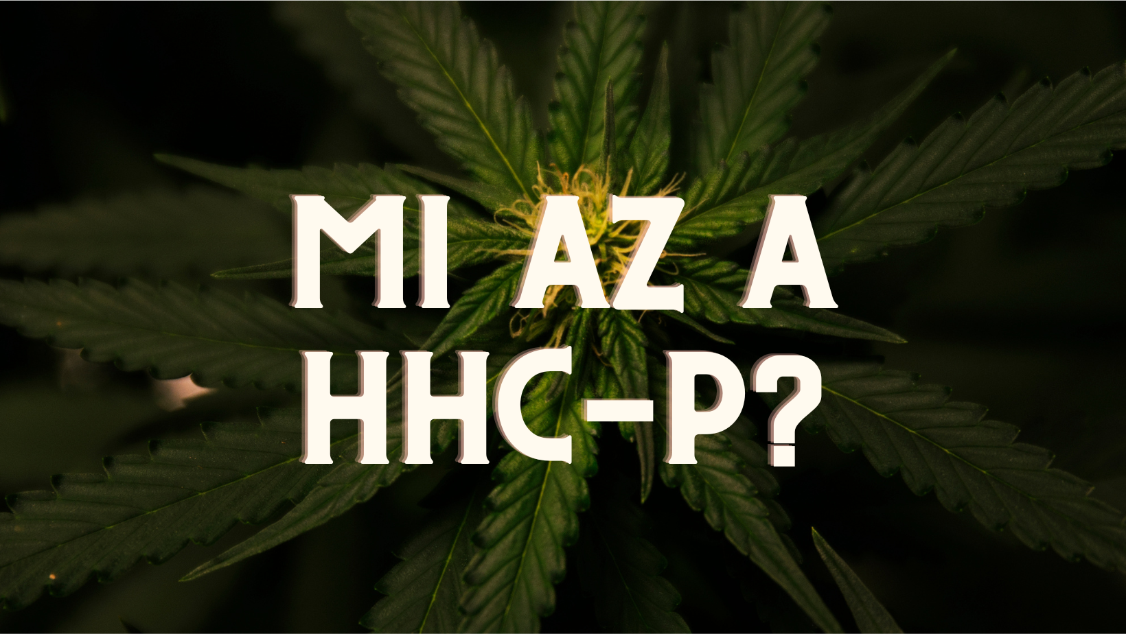 Mi az a HHC-P?