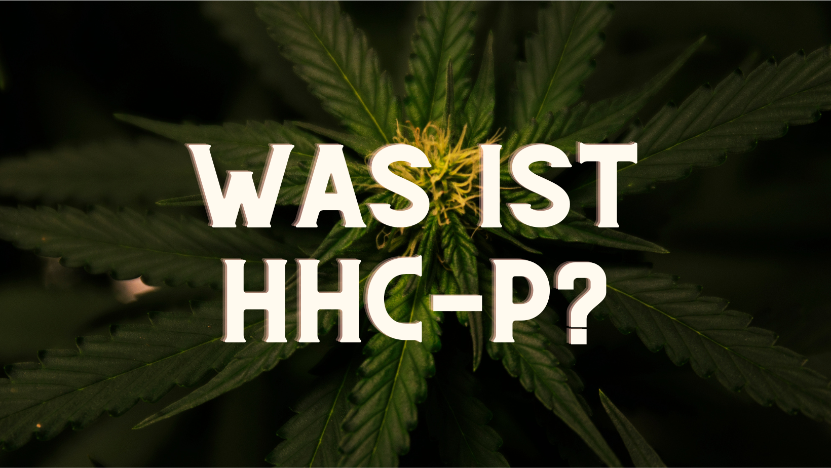 Was ist HHC-P?