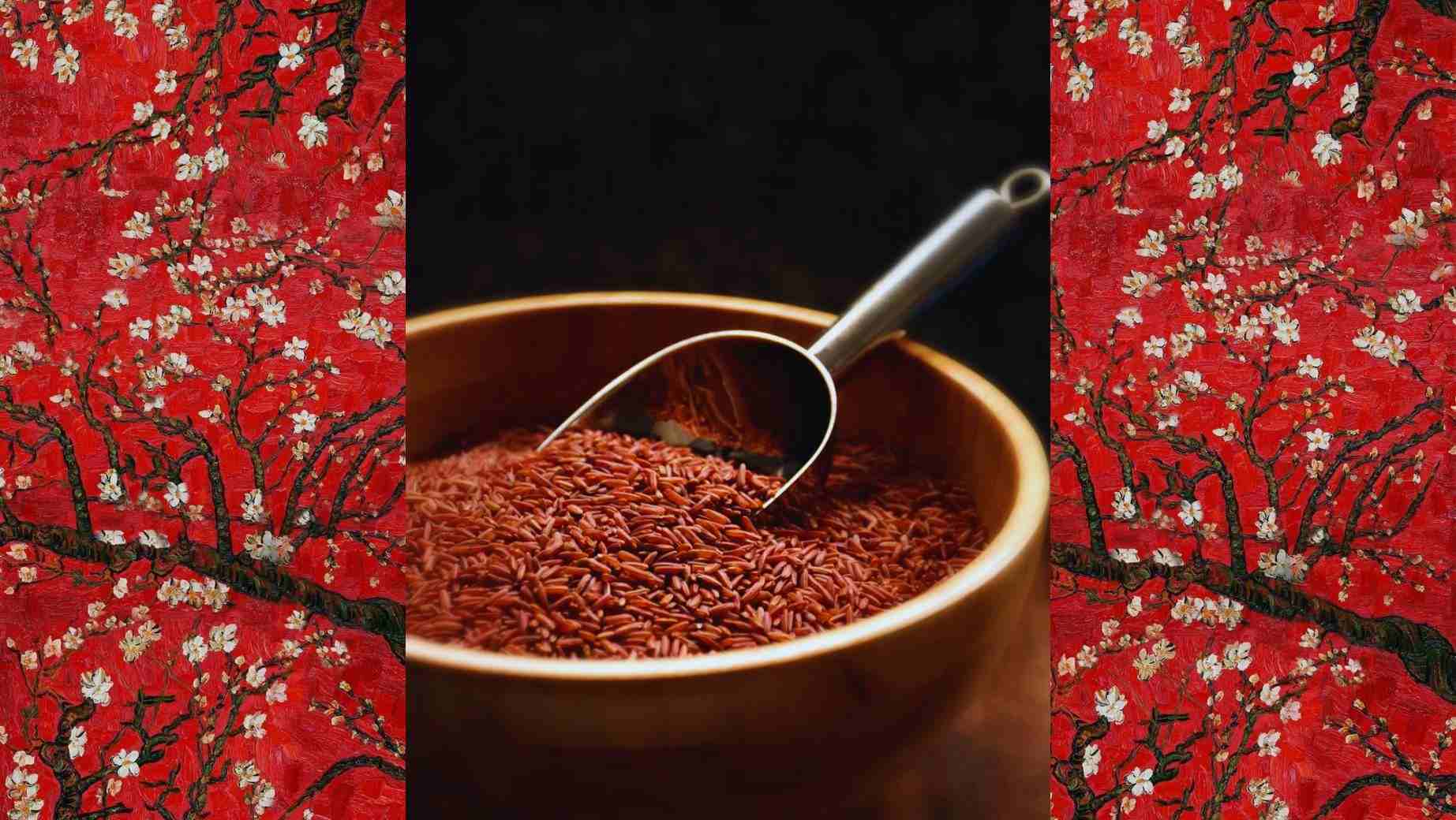 Interesting Facts About Red Yeast Rice: Composition, Effects and Legislation