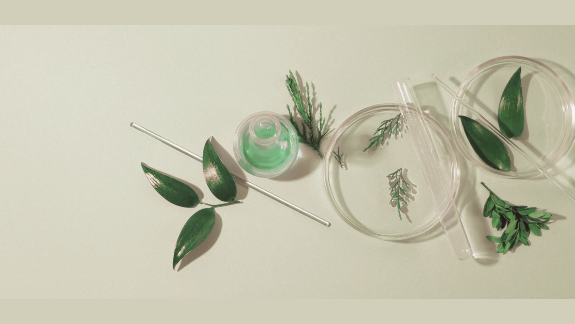 What is the difference between an extract and a tincture?