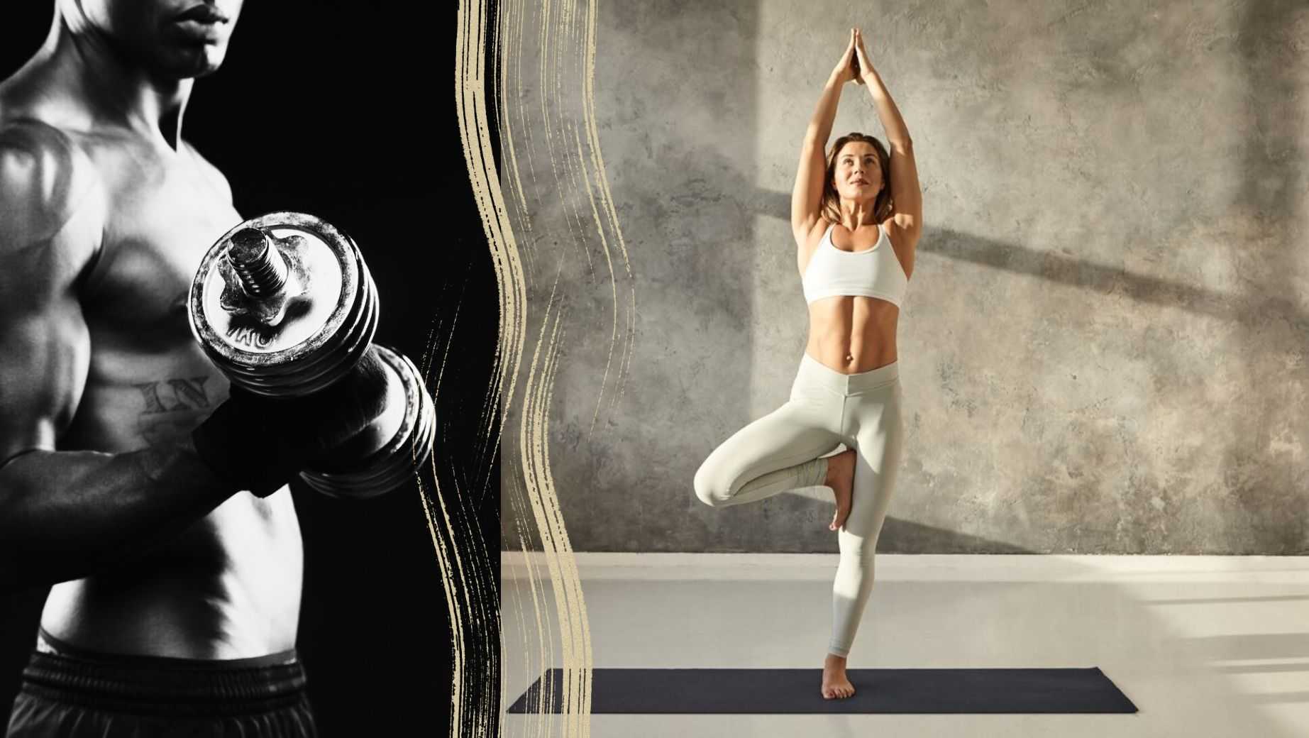 Was sind die besten Aminosäuren für die Regeneration?