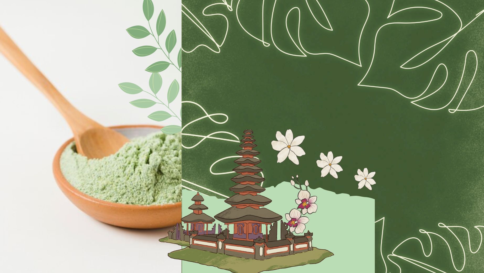 Was bewirkt das weiße Kratom?