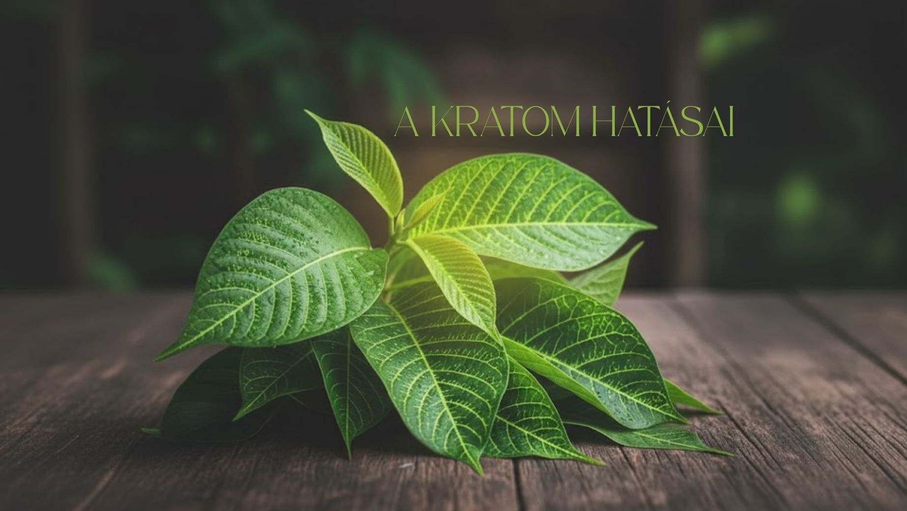 Milyen hatásai vannak a kratomnak?