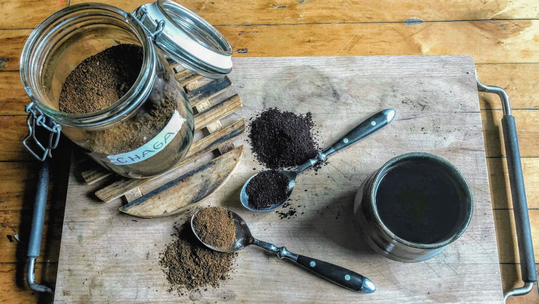 Chaga-Pilz - Wie kann er Ihnen helfen, Ihre Gesundheit und Immunität zu verbessern?