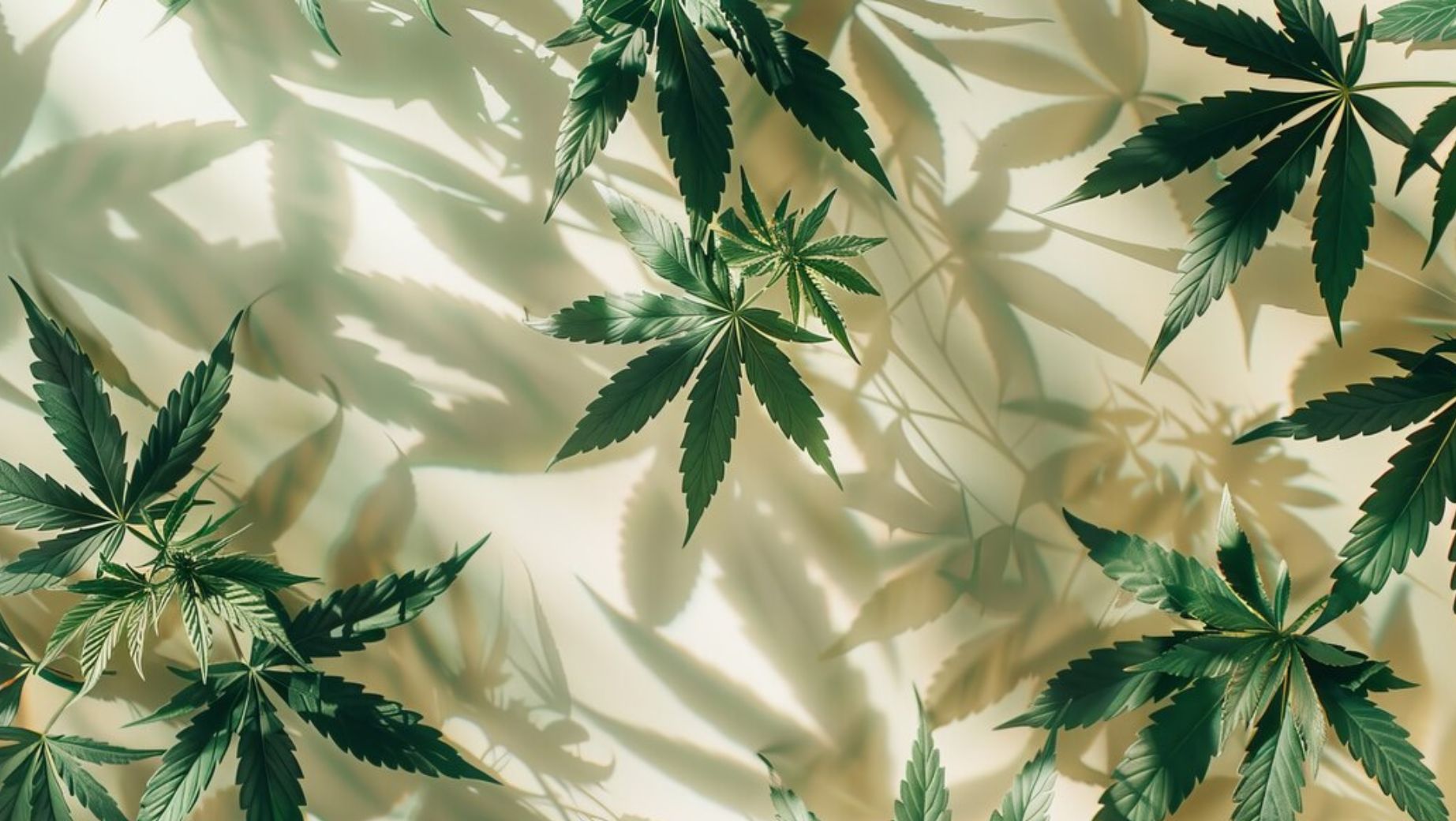 New cannabinoids HHC-A1 and THC-1R