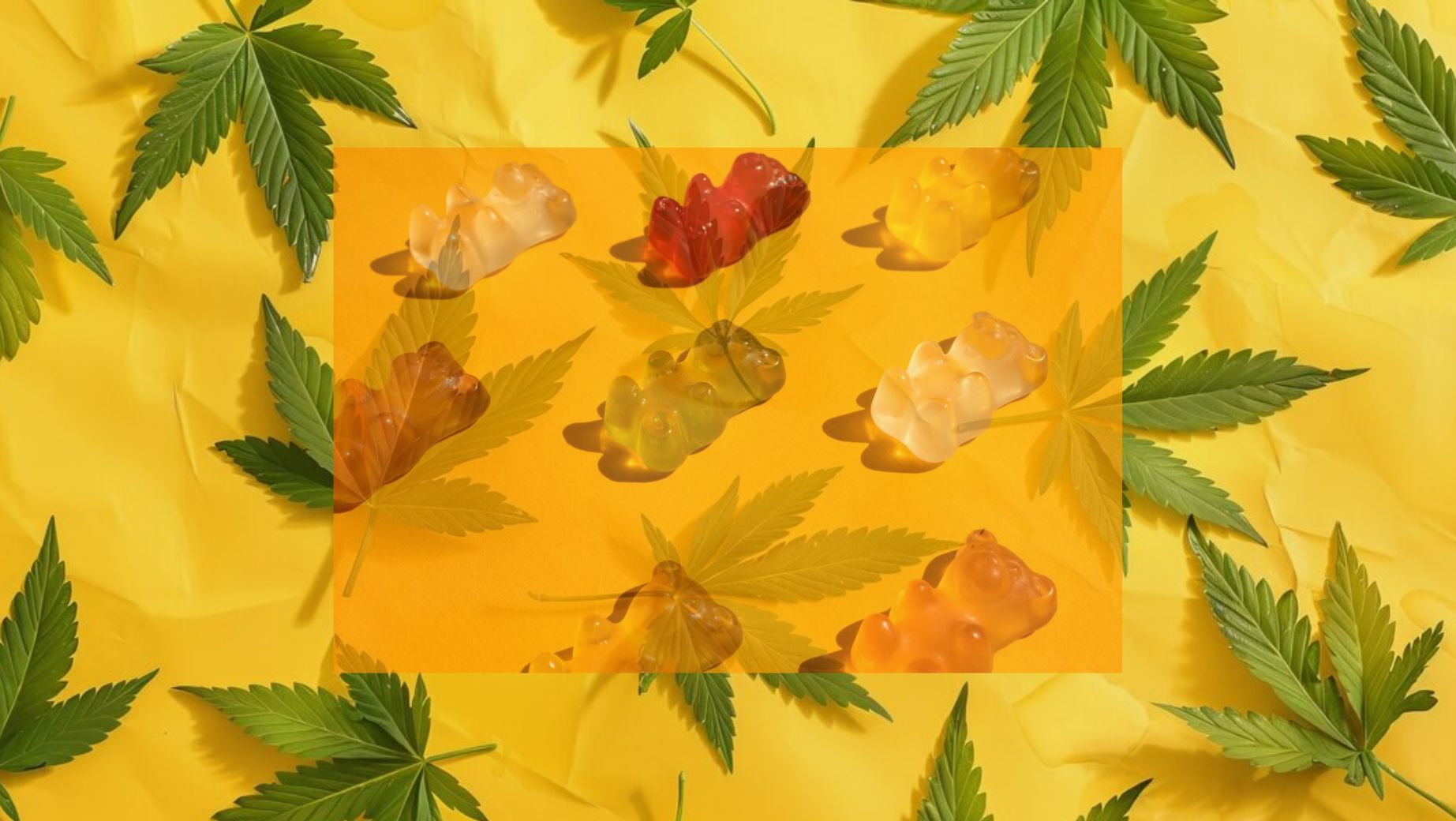 Why were HHC Gummies withdrawn from sale?