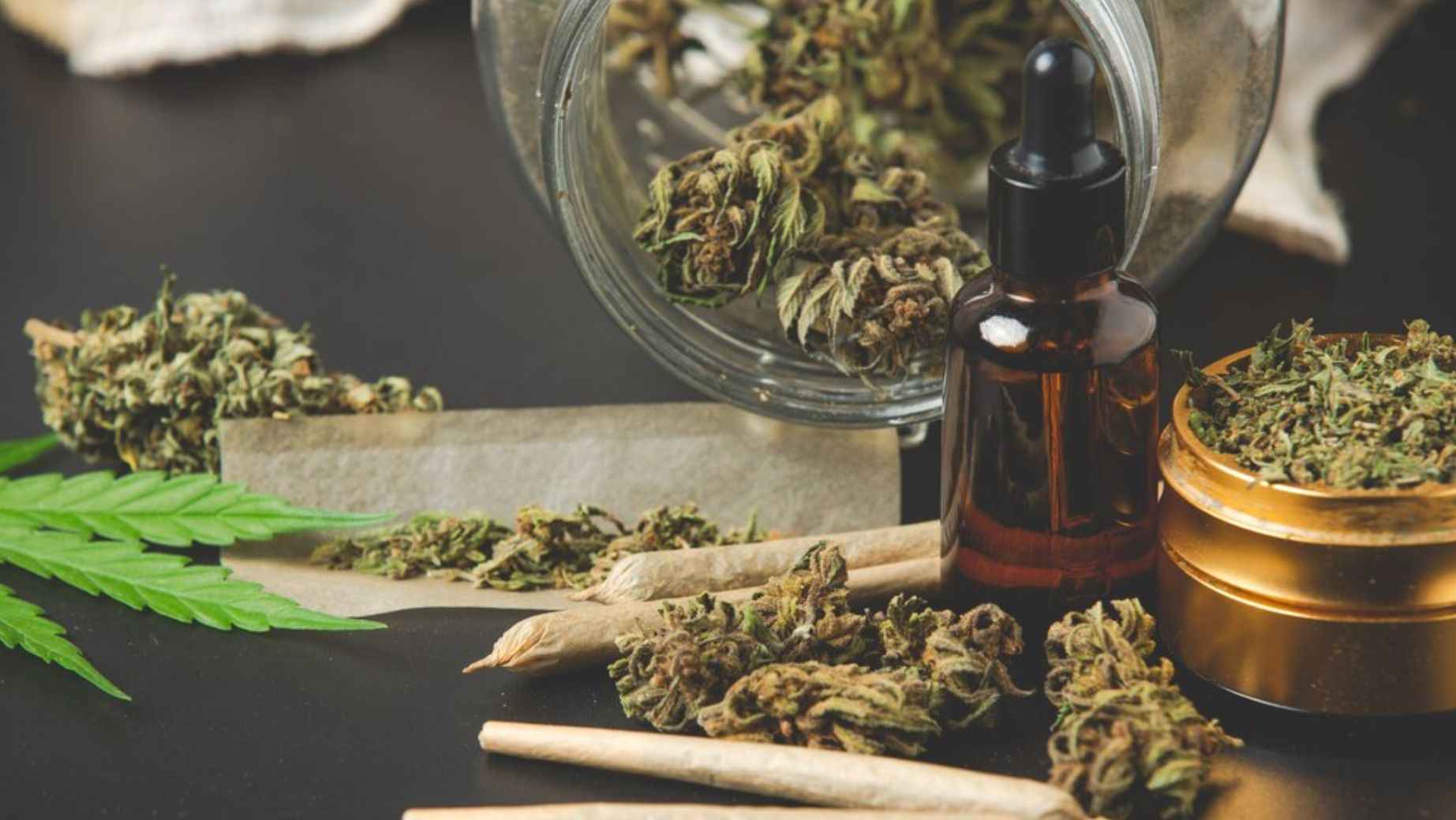 How to buy cannabis products? Advice and tips for beginners