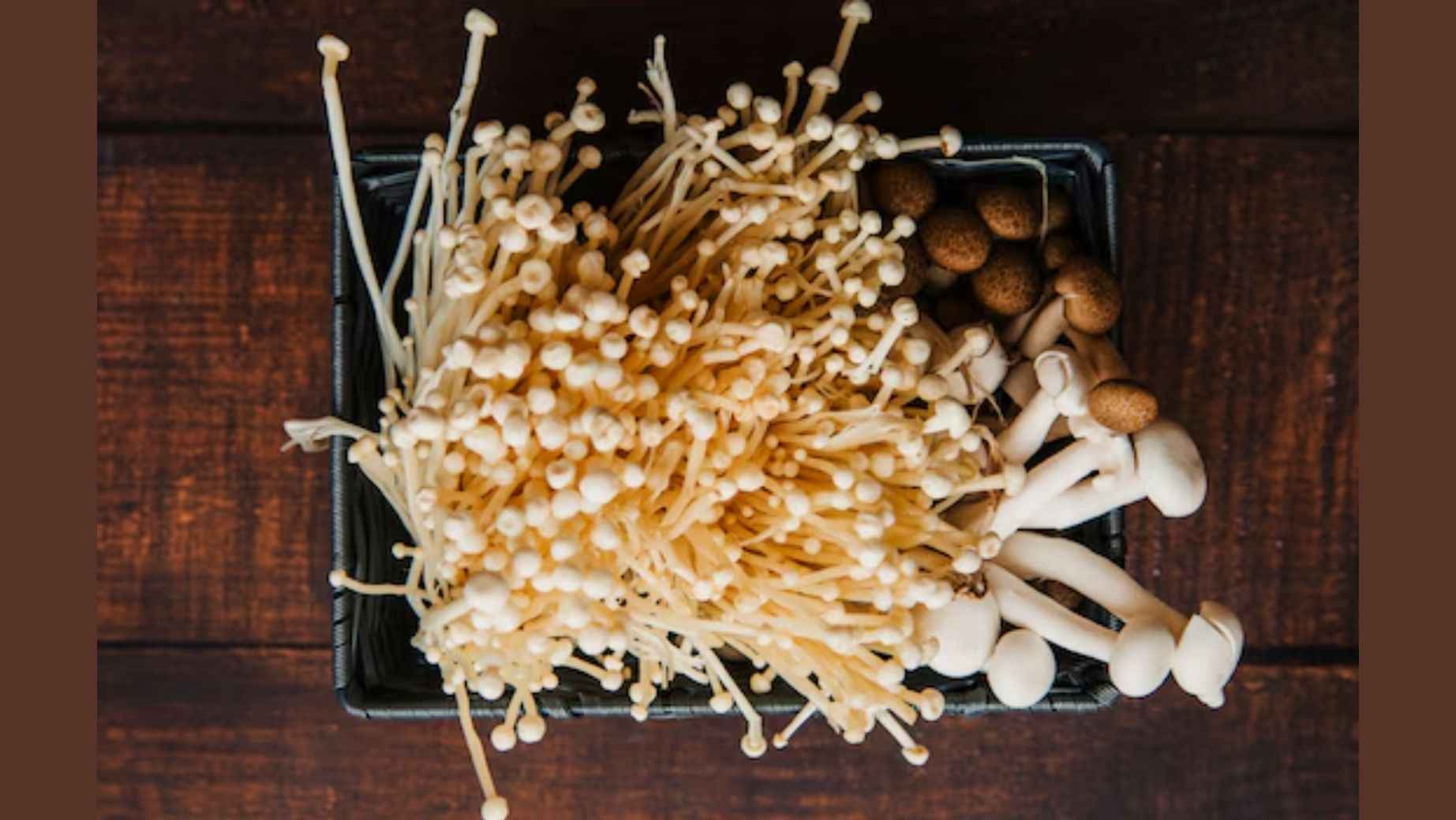 Was sind die Wirkungen von Cordyceps und wann sollte man ihn einnehmen?