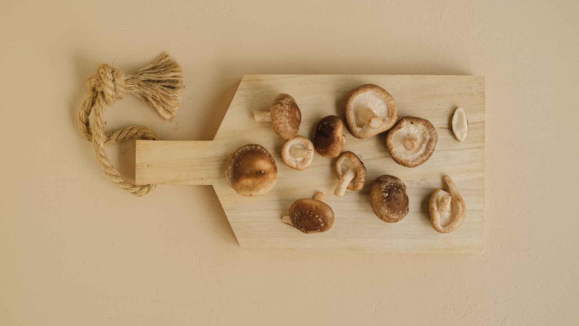 Shiitake - naturalny uzdrowiciel długowieczności