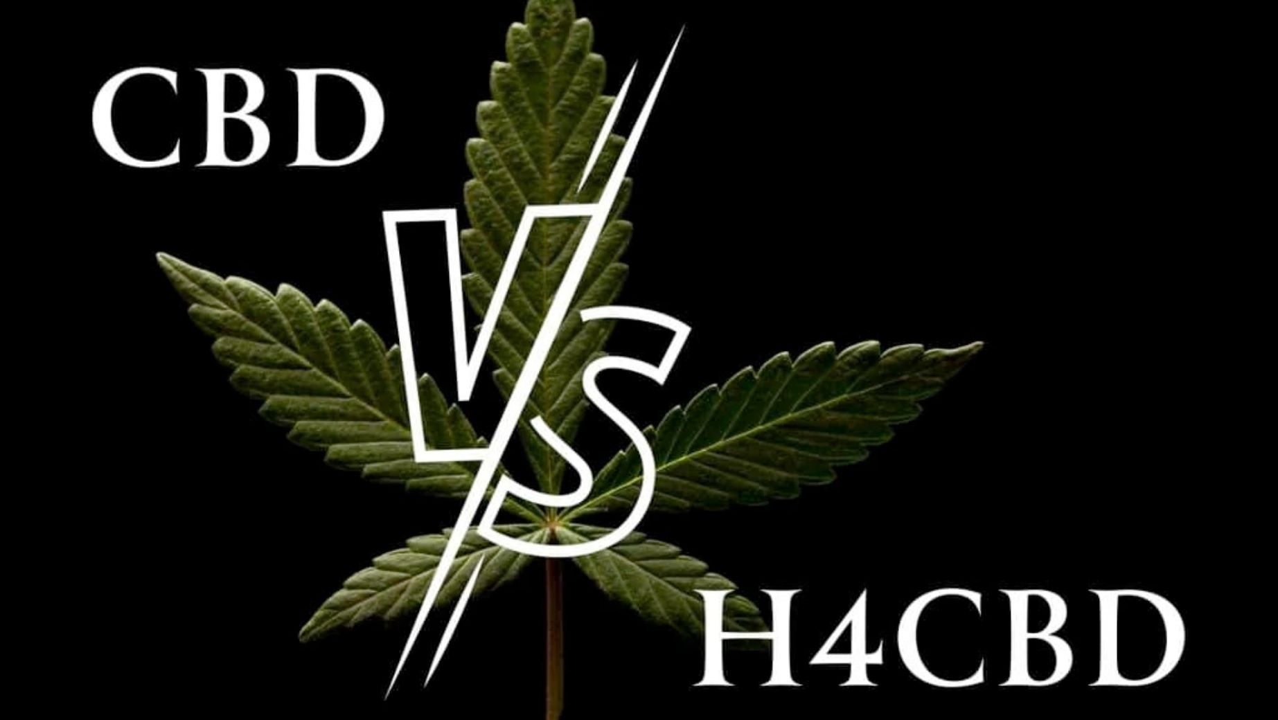 H4CBD vs CBD: dlaczego H4CBD jest lepsze?