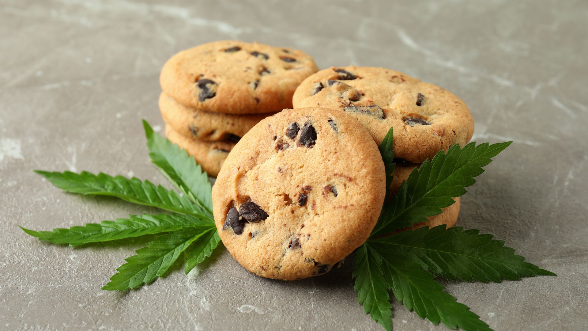 Nowości ze świata HHC: TOP 4 produktów HHC