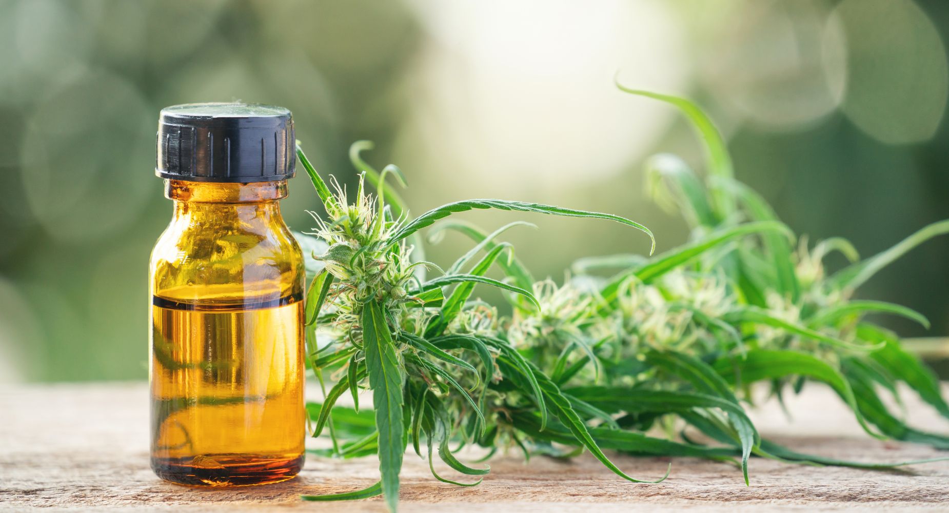 What is HHC and why it's gaining popularity