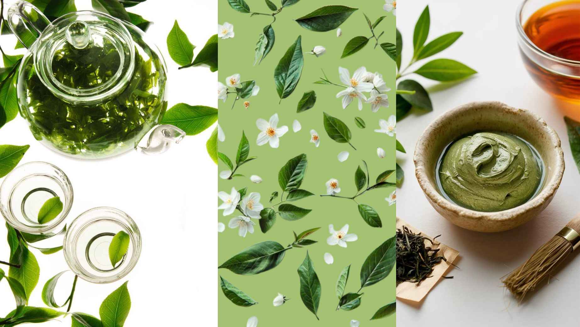 What is green tea extract used for?