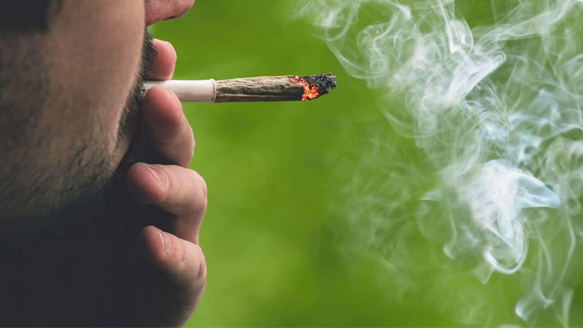 Który HHC jest najsilniejszy?