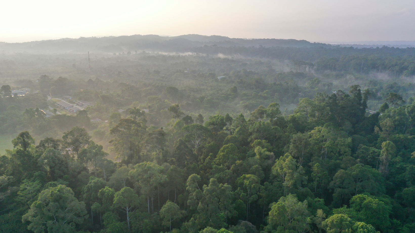 Kratom hírek: Kratom tabletták