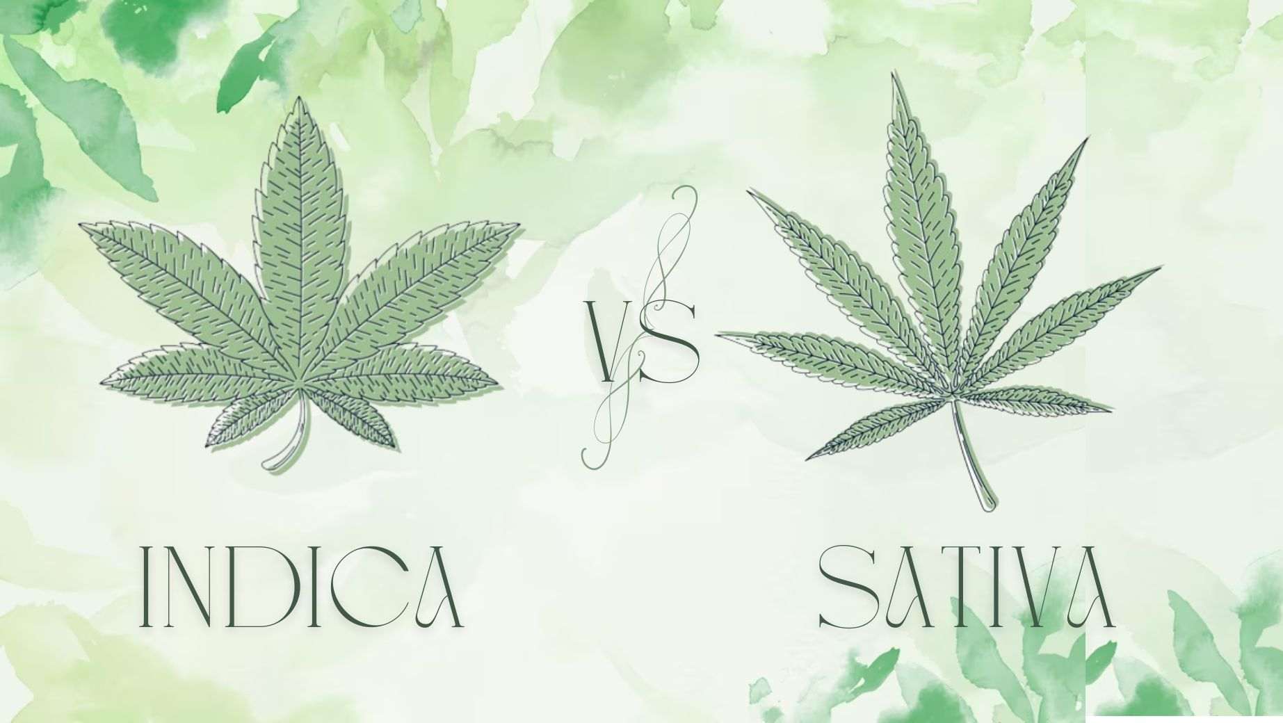 Indica vs. Sativa