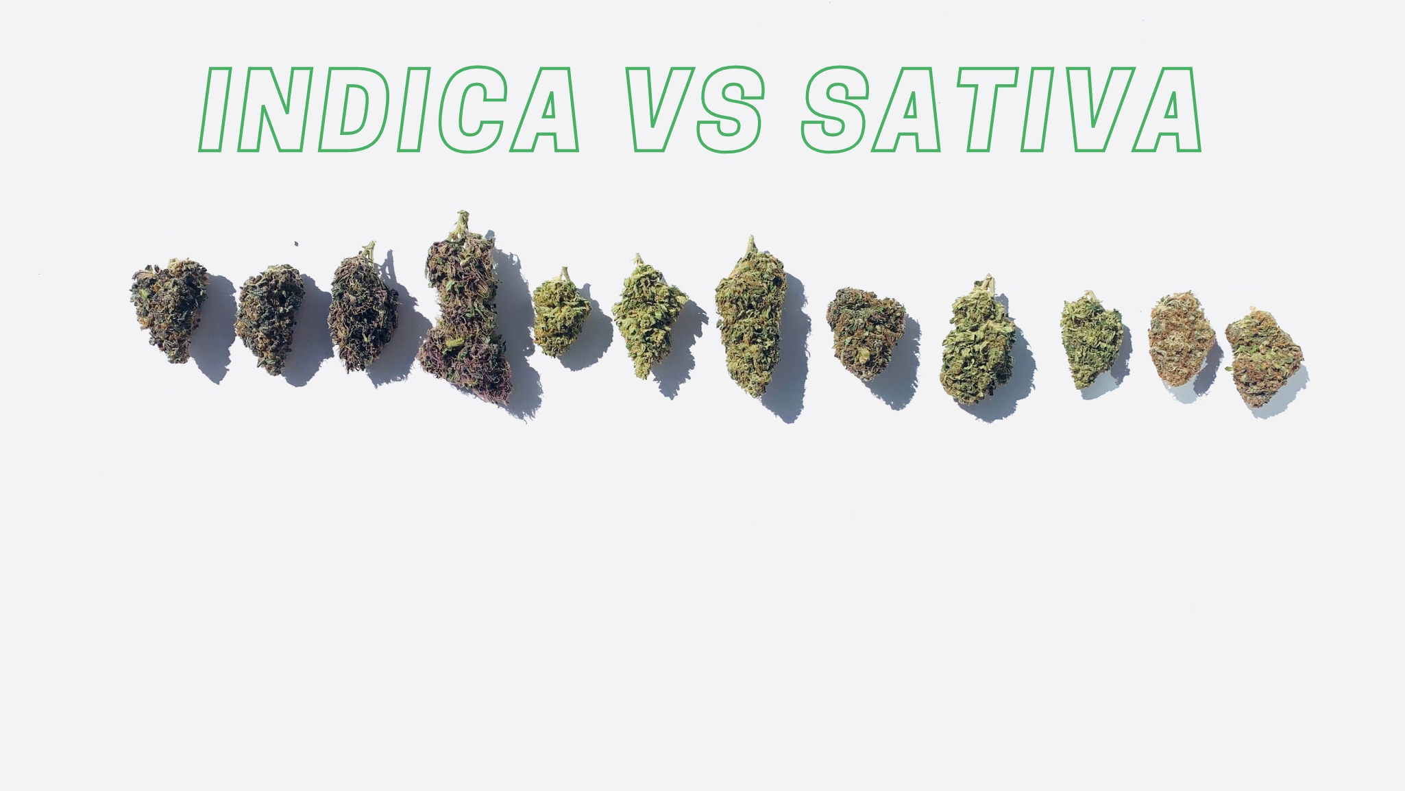 Indica vs Sativa: What is the difference between them?