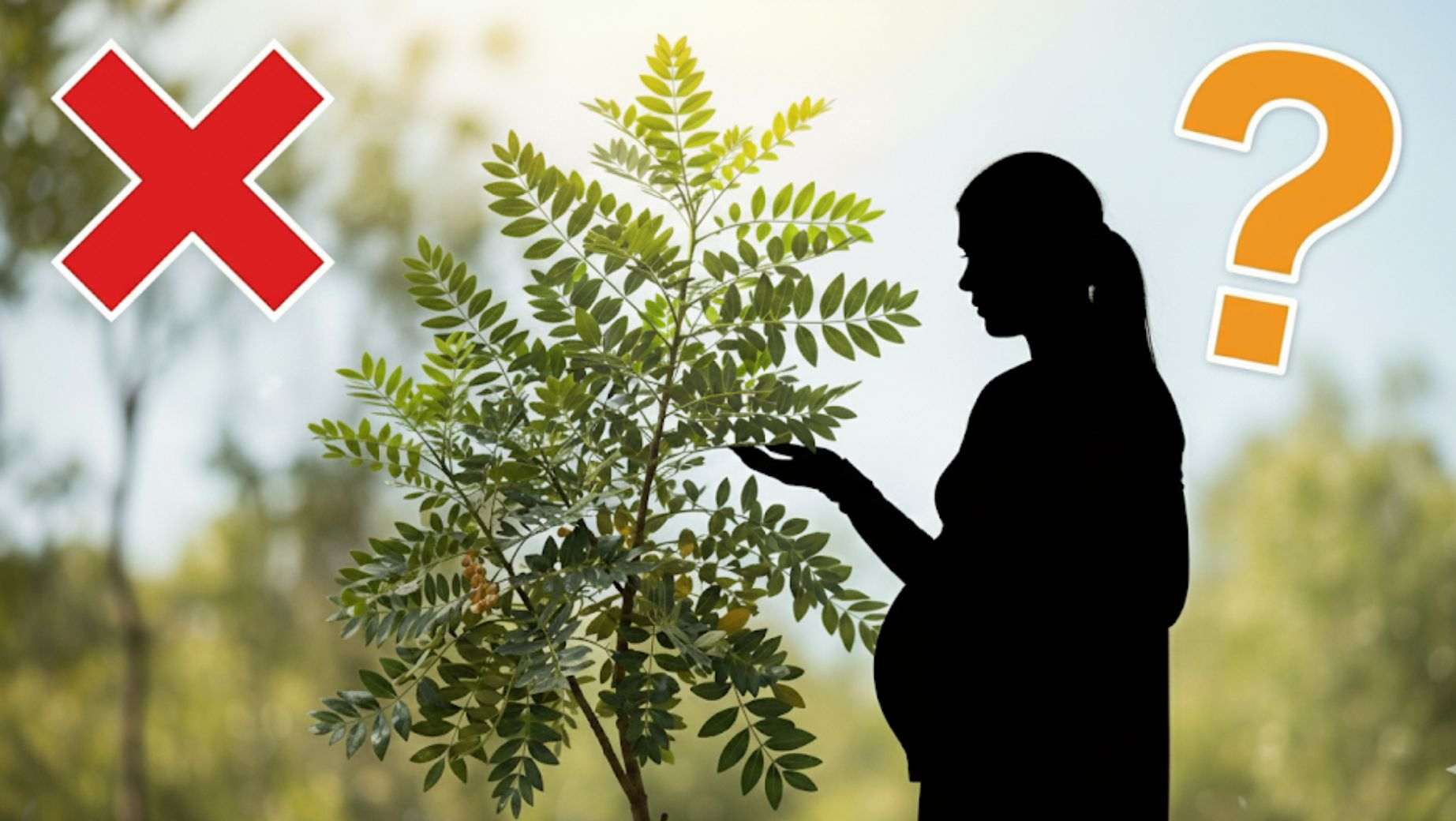 Wer sollte Boswellia Serrata nicht einnehmen?