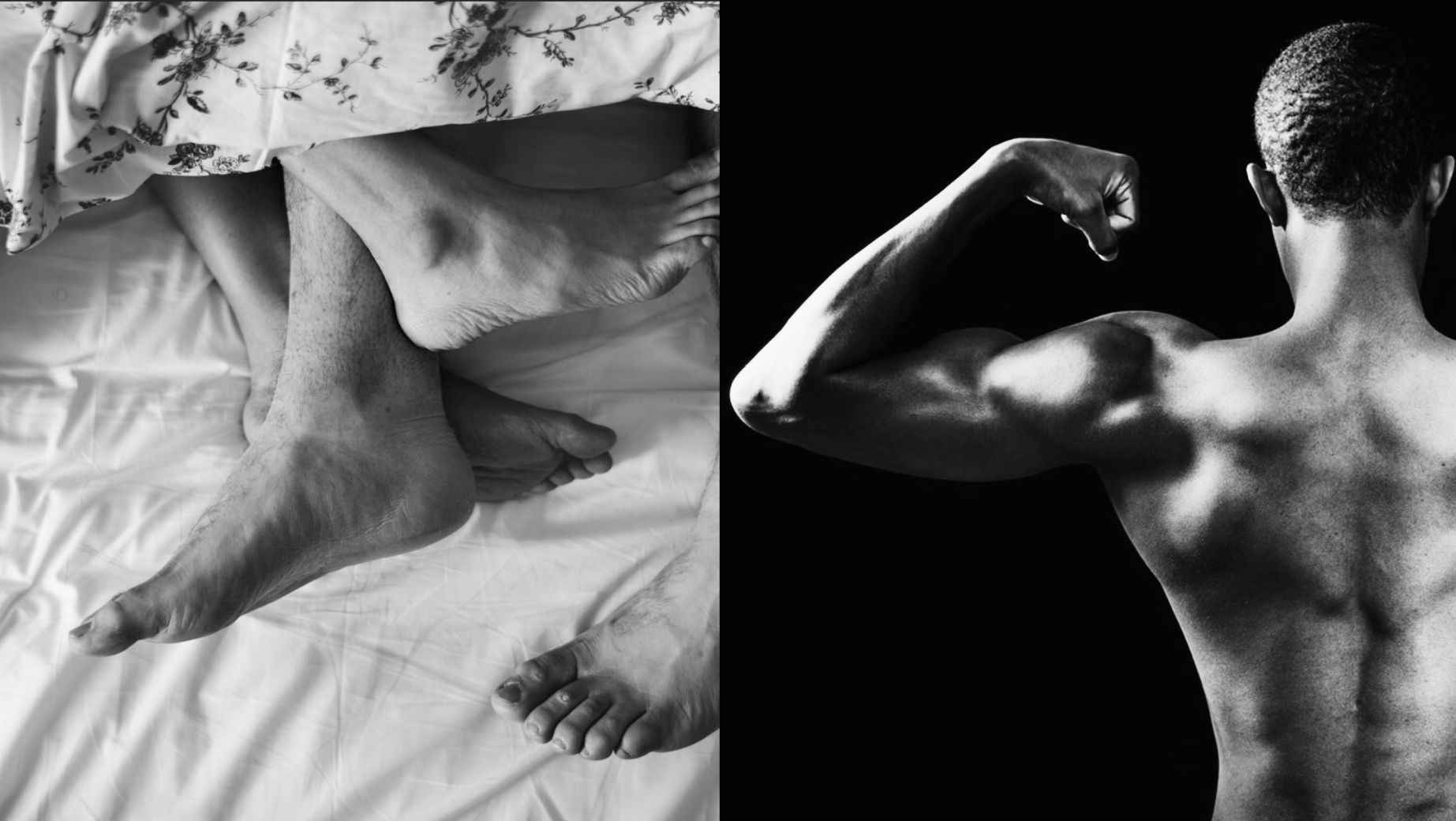 What are the effects of Tribulus and why take it?