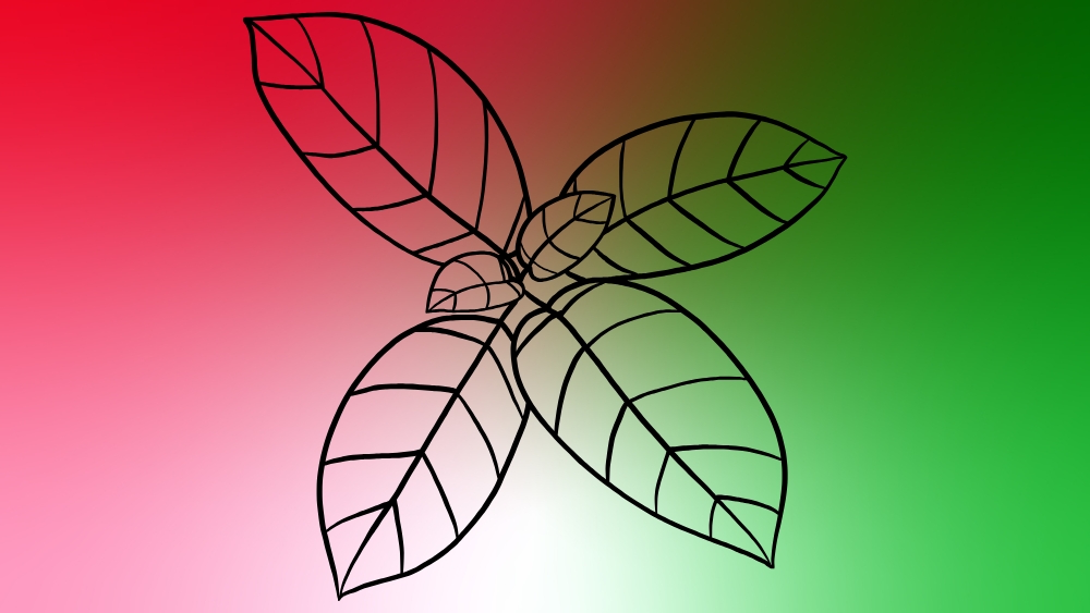 Different types of kratom: How to choose the best one for your needs?