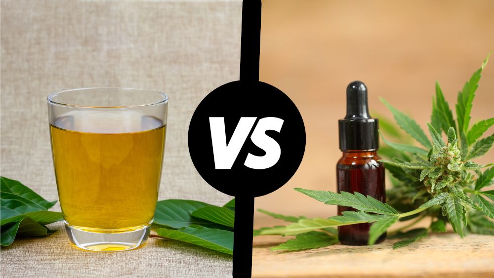 Kratom vs. CBD: Was ist besser für Sie?