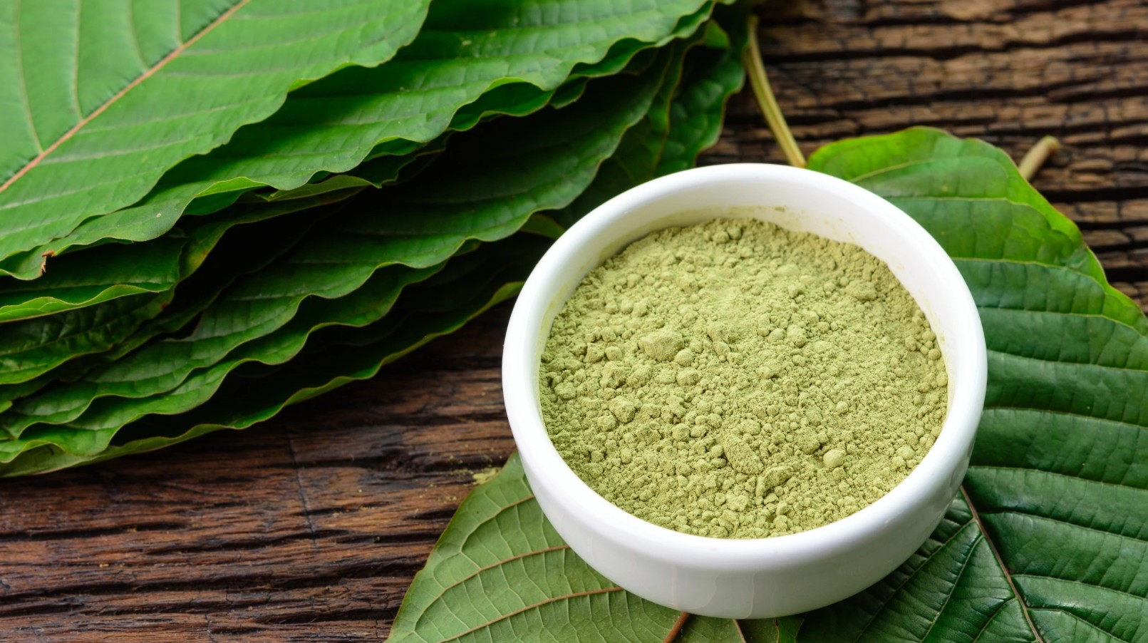 Kratom érdekességek: Tud mindent a kratomról?