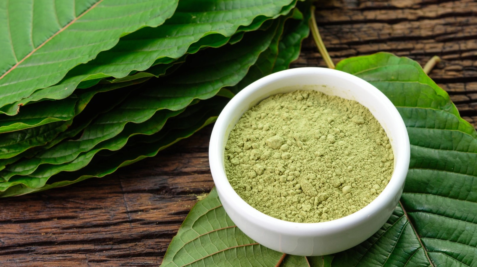 Kratom Ciekawostki: Czy wiesz wszystko o kratomie?