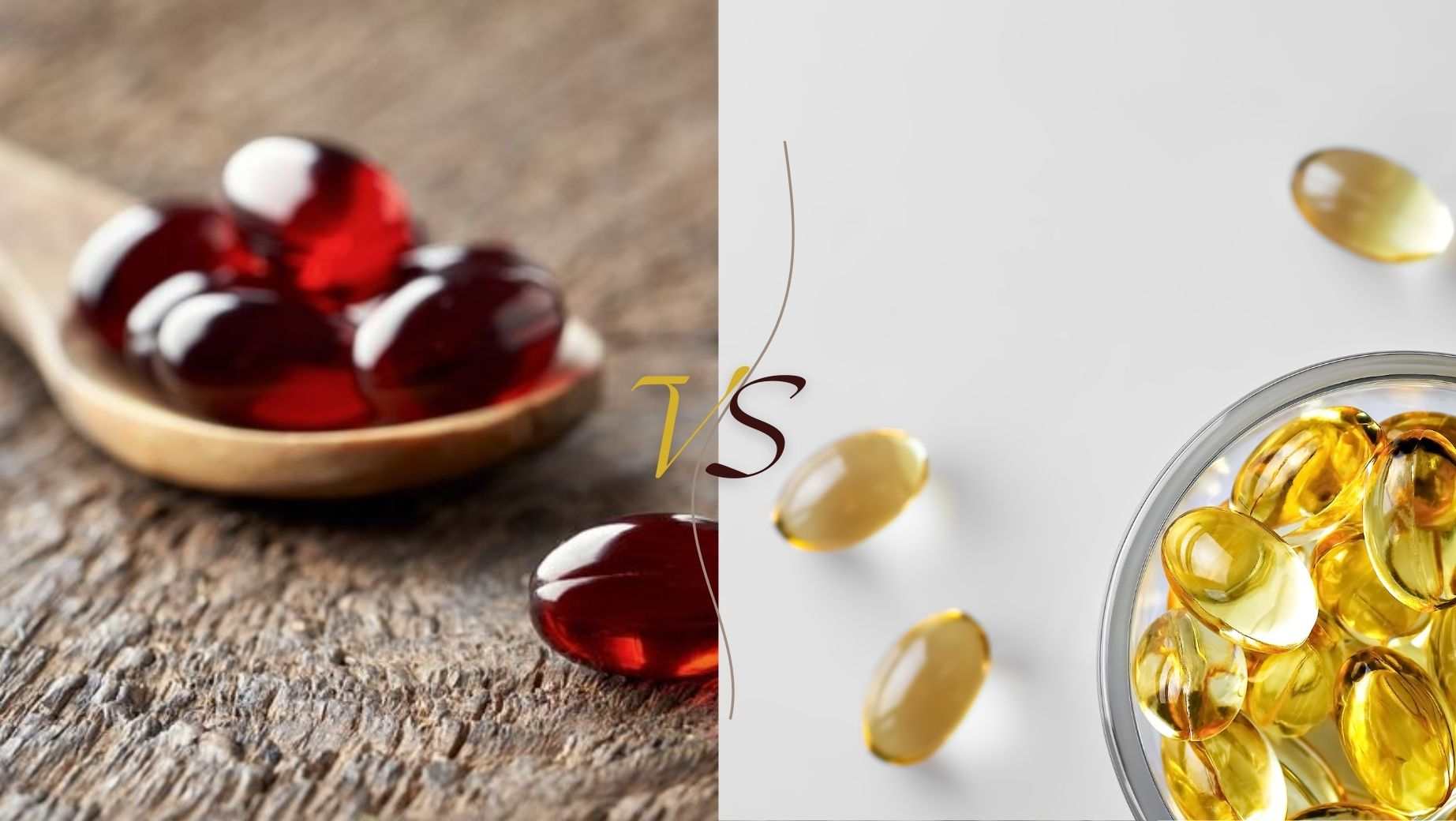 Krillöl vs. Fischöl: Was ist die bessere Wahl für Ihre Gesundheit?