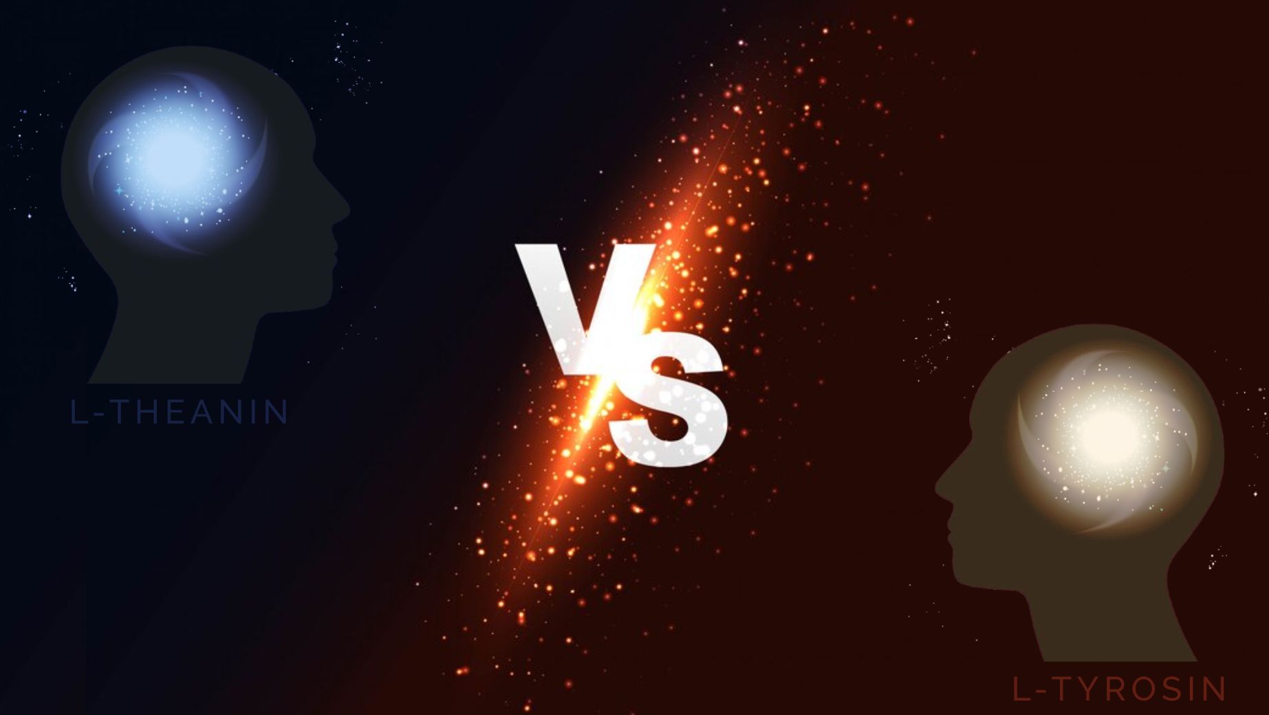 Was ist der Unterschied zwischen L-Theanin und L-Tyrosin?