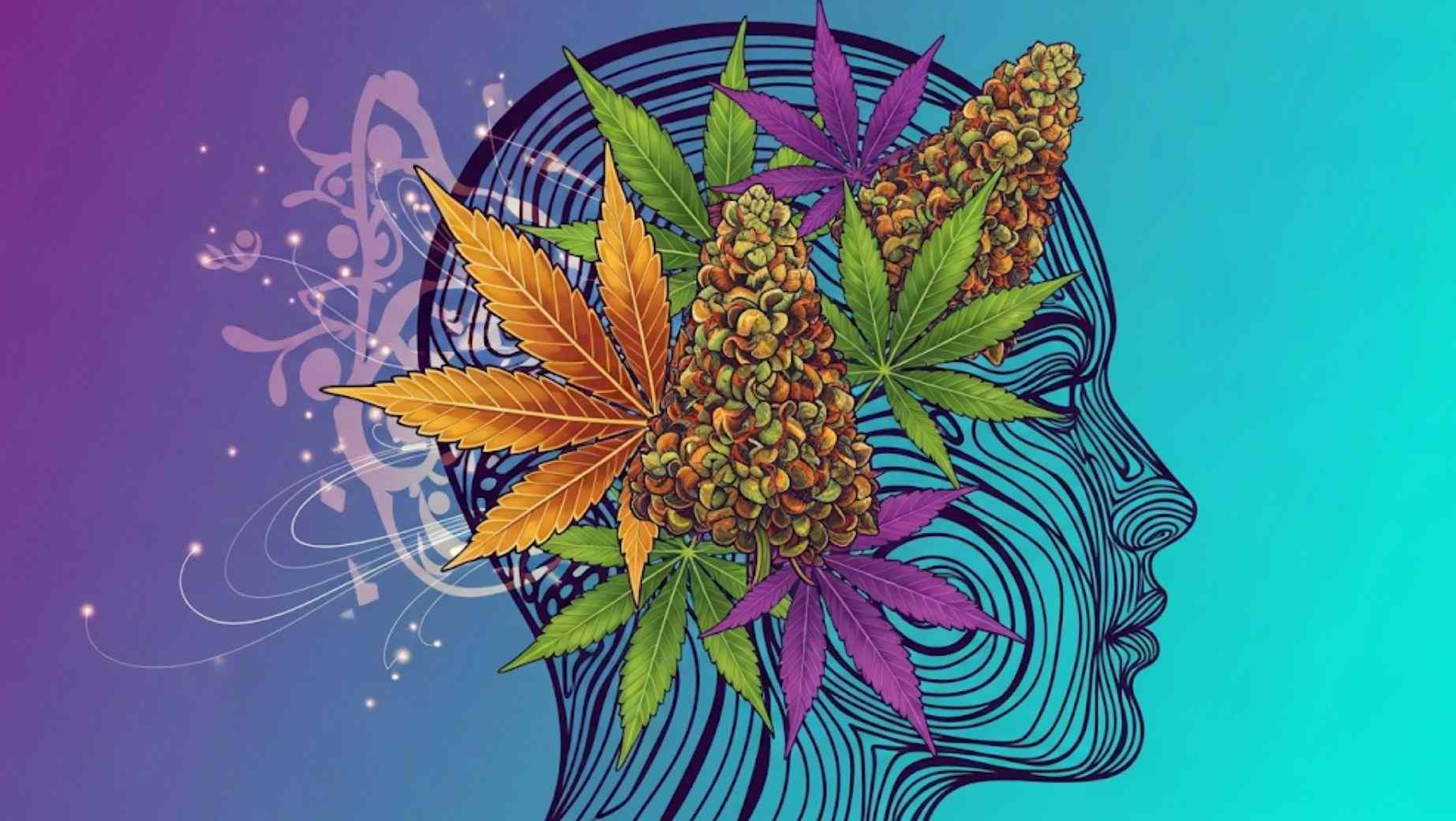 How does long-term marijuana use affect our brain?