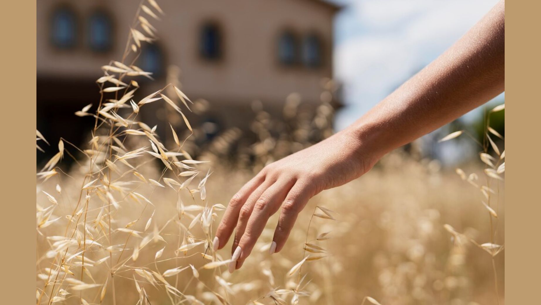 What is young barley? A miracle herb from Asia