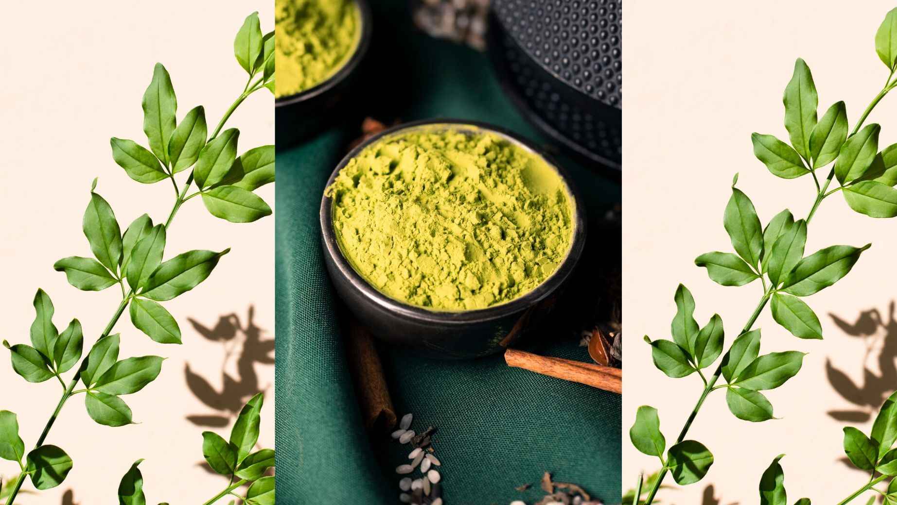 Was sind die Wirkungen von Moringa?