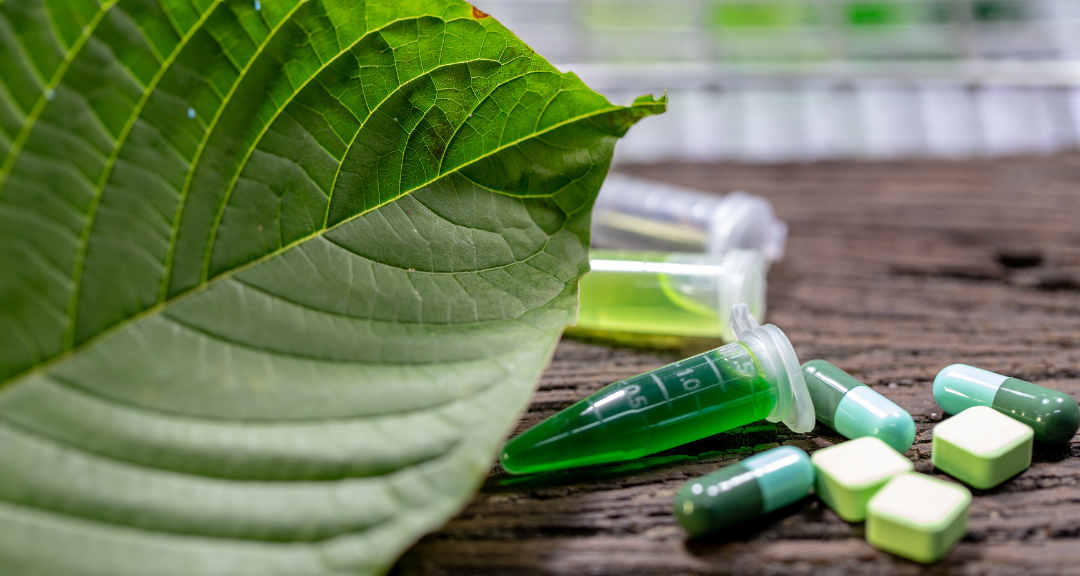 Was wissen wir bereits aus der Kratomforschung?