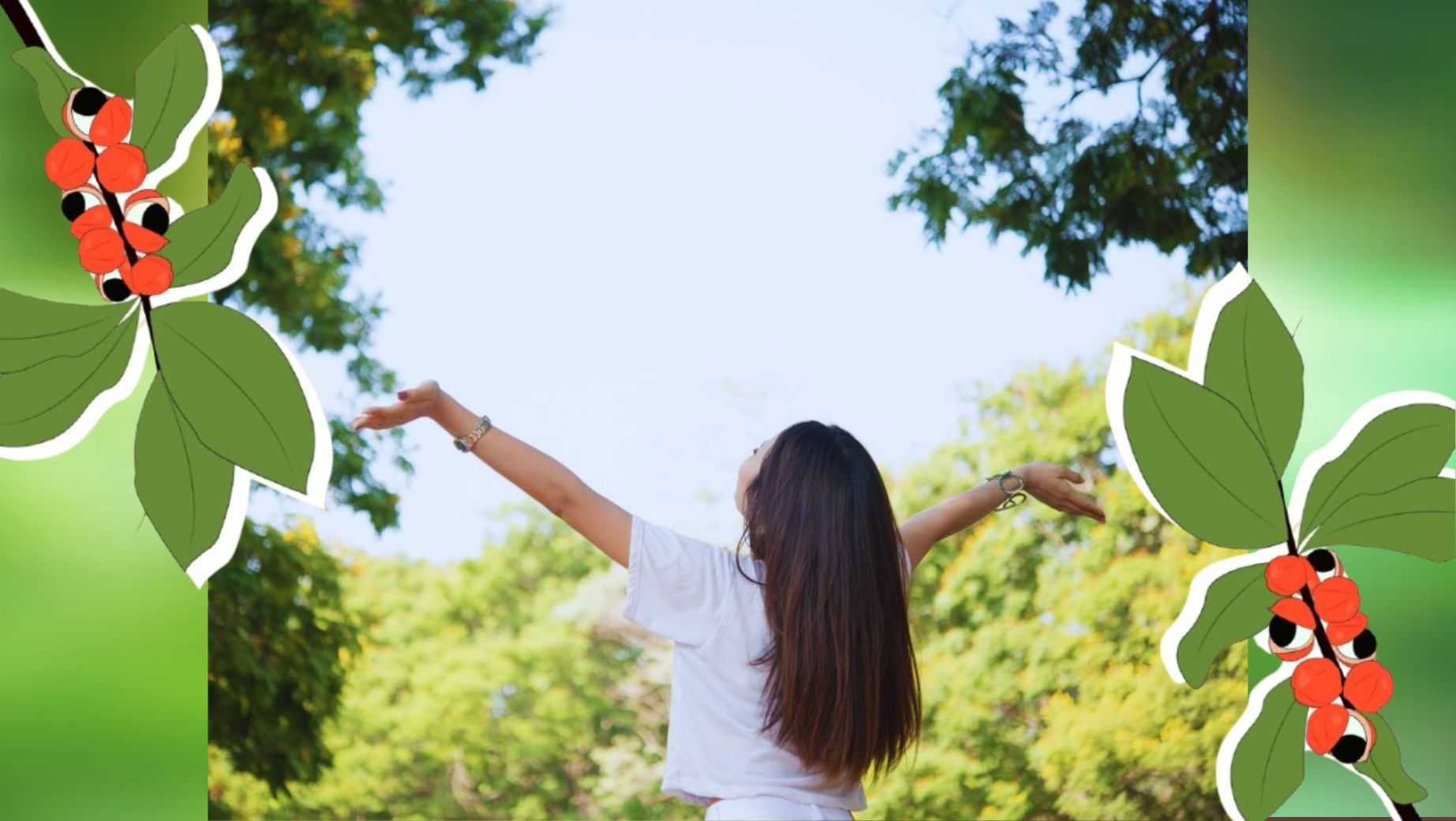 What does guarana extract do?