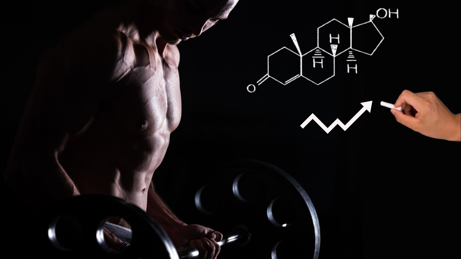 5 dietary supplements for rapid increase of testosterone and libido