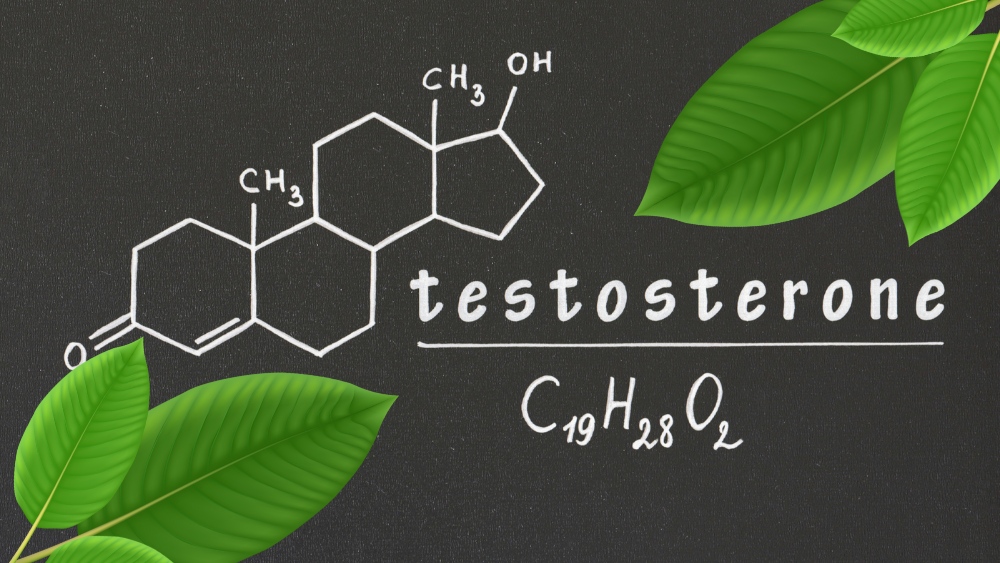 Is it true? Can kratom lower testosterone levels?