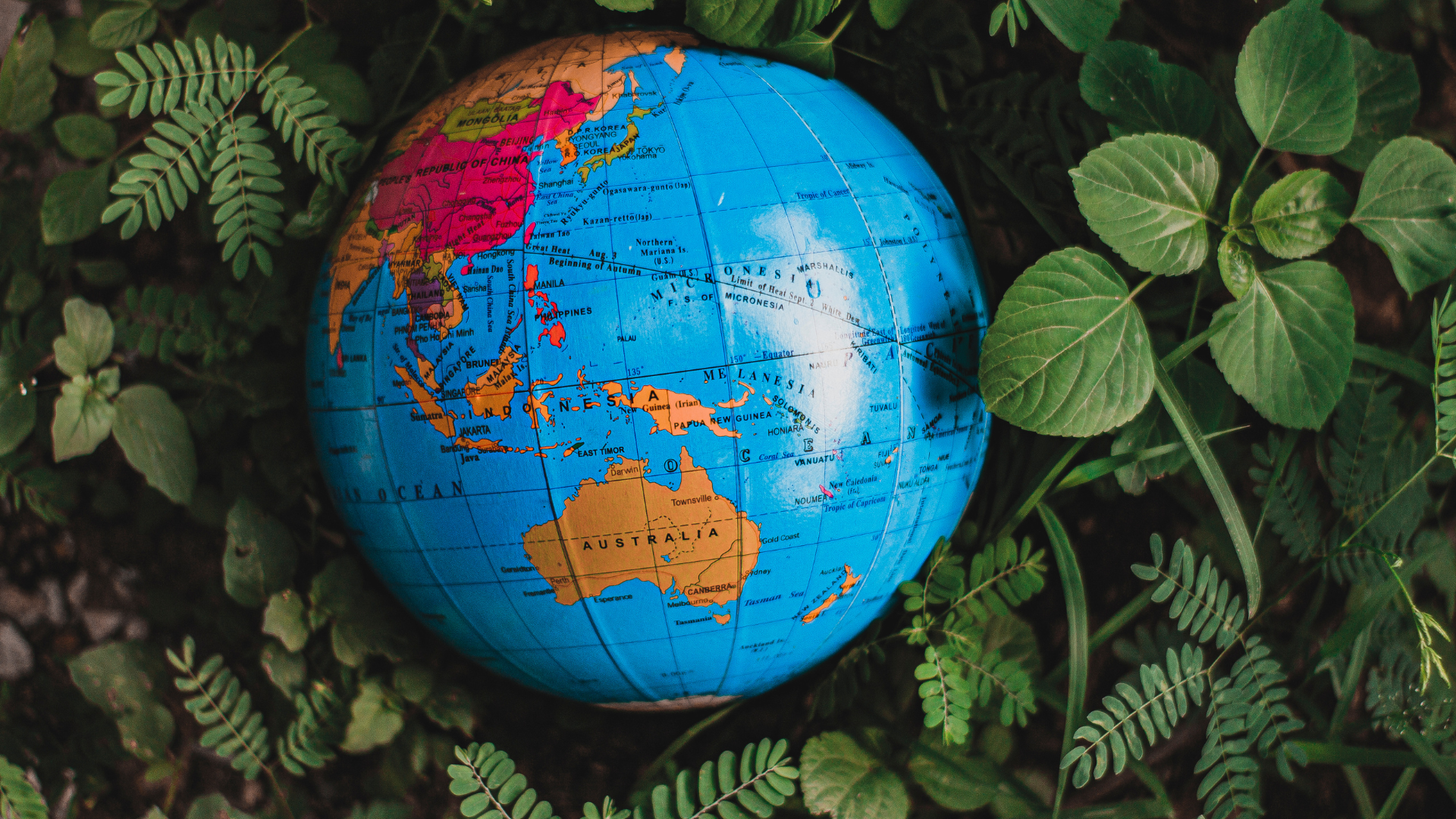 Where is the best kratom from