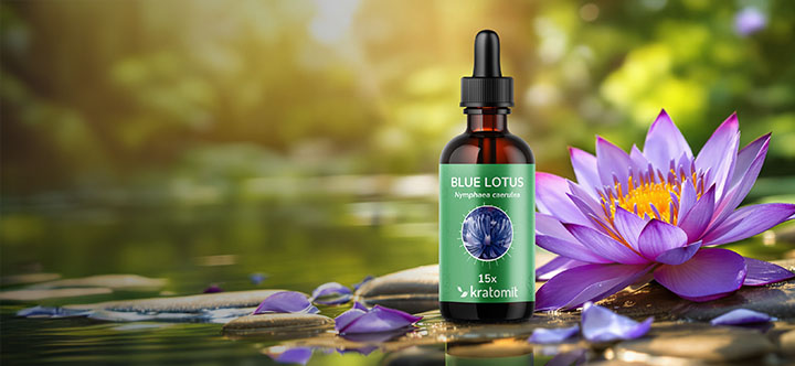 Blue lotus
