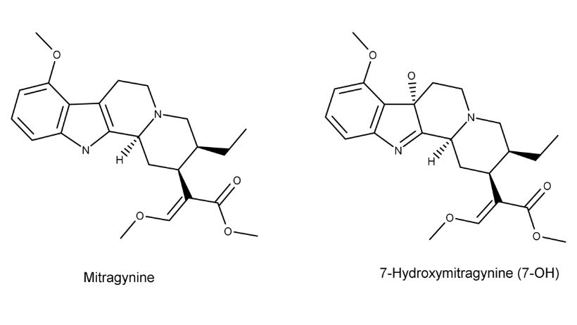 mitragynine