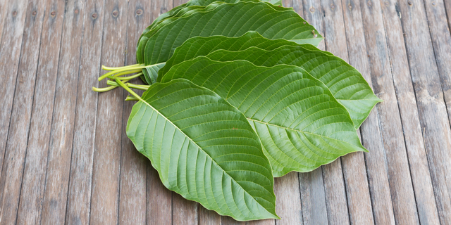 kratom-3