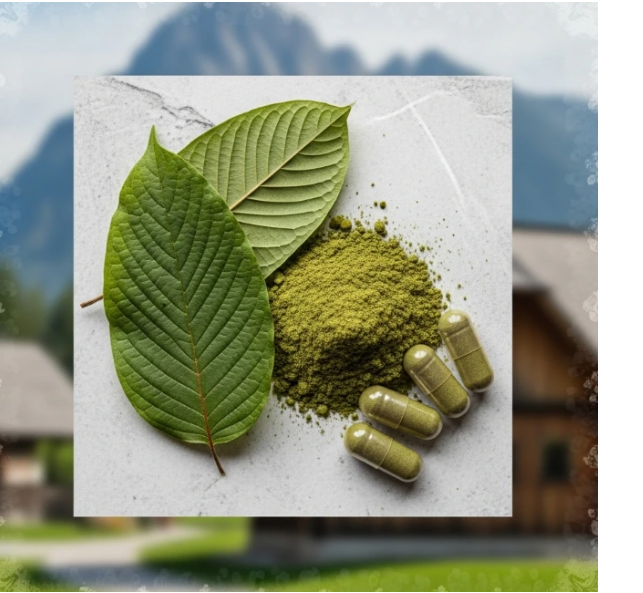 Kratom Ljubljana & Maribor
