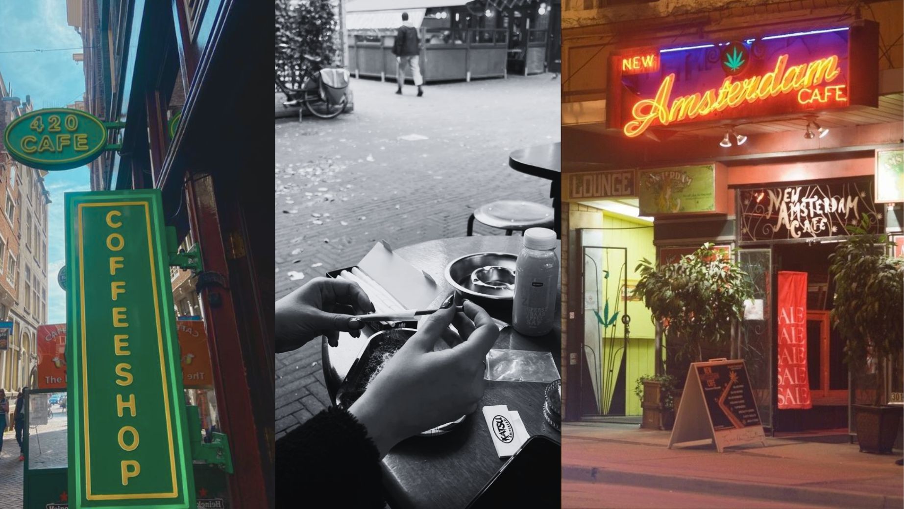 Cannabis Netherlands