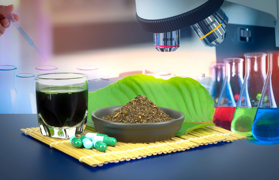 Was wissen wir bereits aus der Kratomforschung?