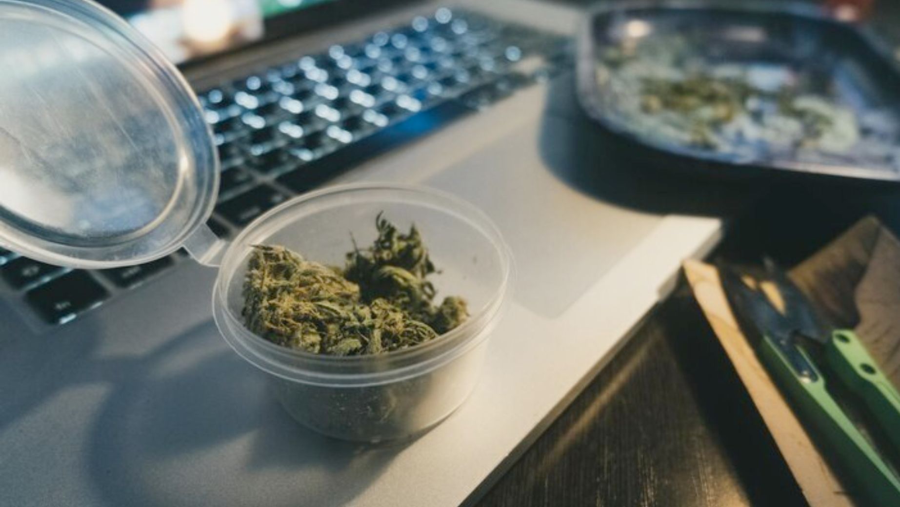 Kratom Online Kaufen