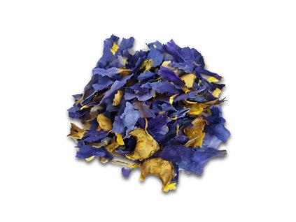 Blue Lotus Flowers