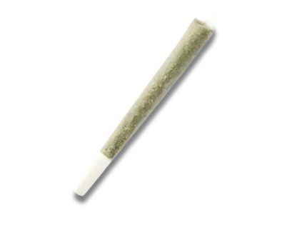 THC-R Pre-Roll Joint Gelato 15% – Luxurious Hand-Trimmed Quality