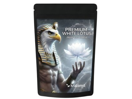 White water lily White Lotus