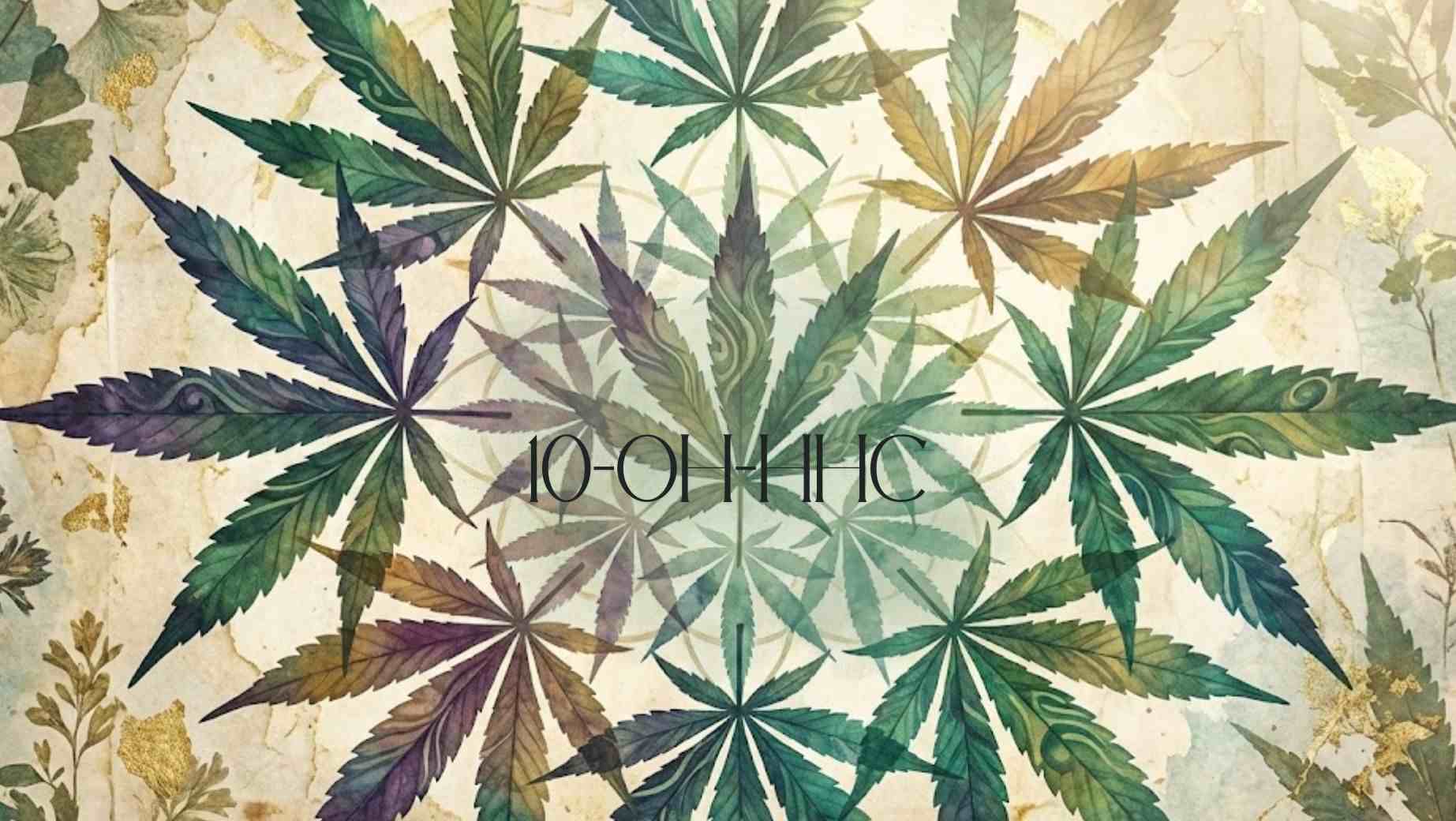 Milyen potenciális hatásokat tulajdonítanak a 10-OH-HHC-nek?