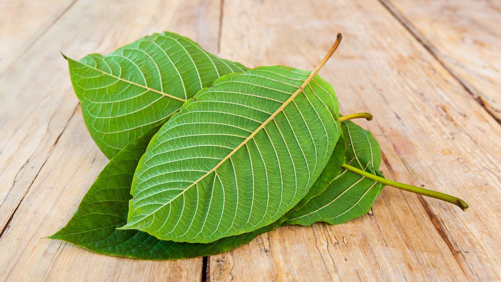 Hol lehet Maeng Da Green Kratomot rendelni Magyarországon?